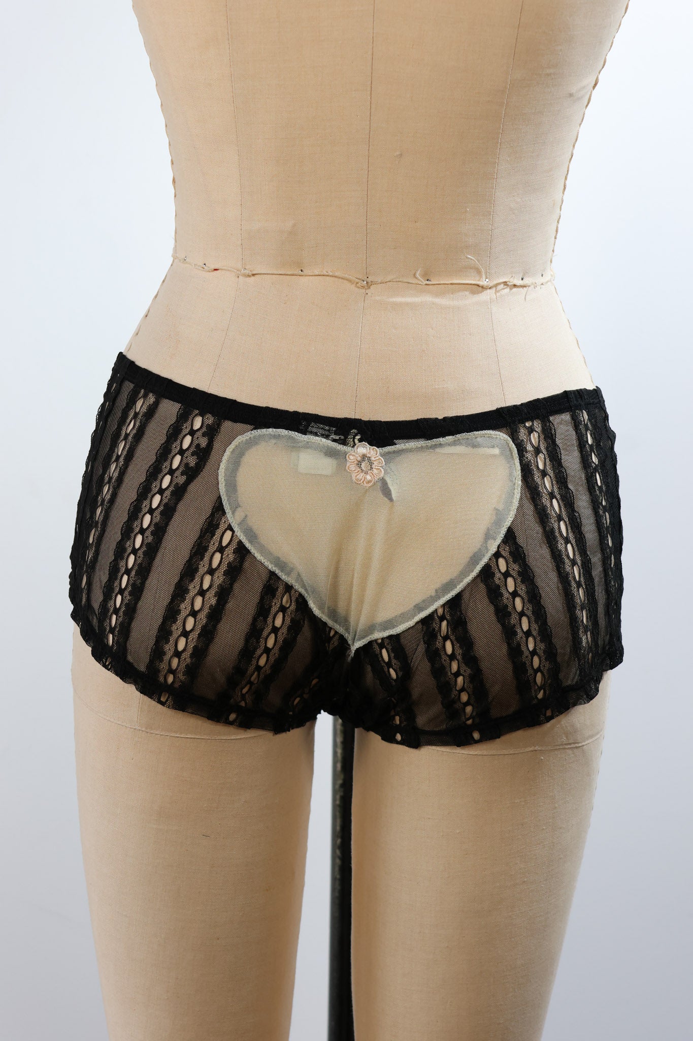 Trelise Cooper Underwear Briefs — Black / Tea